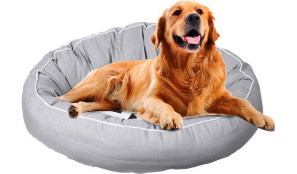 Snoooz Orthopaedic Dog Bed – Extra Large